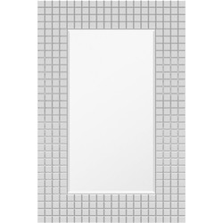Grote Zilveren Spiegel 80x120 cm - Max | Perfecthomeshop