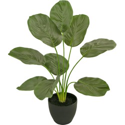 Greenmoods Kunst Calathea - Nep plant - 1 Stuk - 48cm - Zwart