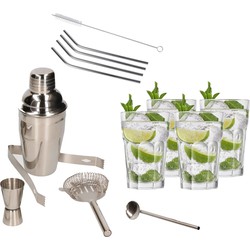 Cocktailshaker set RVS 5-delig inclusief 4x cocktailglazen 410 ml met 4x RVS rietjes - Cocktailshakers