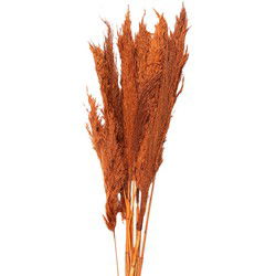 Clayre & Eef Droogbloemen Oranje Droogbloemen