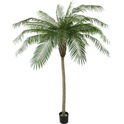 Kunstpalm Phoenix De Luxe Elite 210 cm