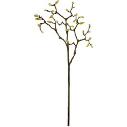 HK-living kunstbloem, decoratie tak magnolia tak 102 cm