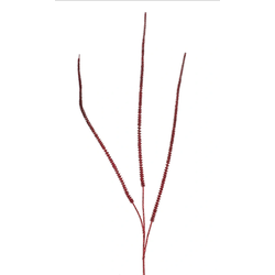 Kunst Horsetail spray x3 red 115 cm