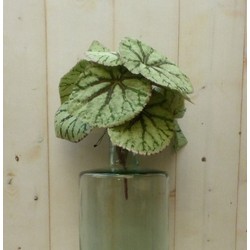 Kunstbegonia op steker 25 cm