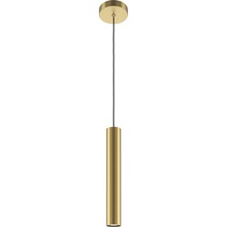 Maytoni - Hanglamp Pro Focus - Goud - Ø6