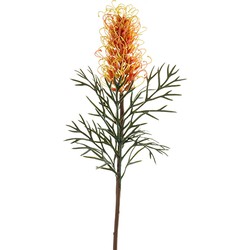 Grevillea spray coral 80 cm - Emerald