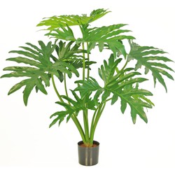 Kunstplant Philodendron 80 cm