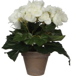 Witte Begonia kunstplant 25 cm in grijze pot - Kunstplanten