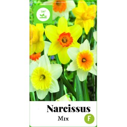 2 stuks - Narcissus grootkronig mix 35 bollen