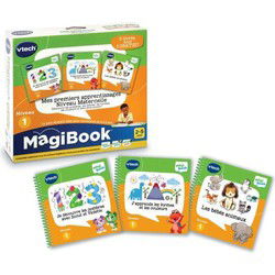 VTECH - MAGIBOOK - Mijn leer Kleuterschool