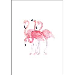 Flamingo's (50x70cm)
