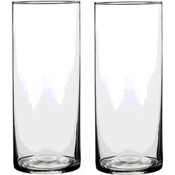 Mica Decorations Vaas - 2x - cilinder - glas - 12 x 25 cm - Bloemenvaas - Vazen