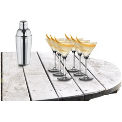 Cocktailshaker set met 6x stuks Martini cocktailglazen 260 ml - Cocktailglazen