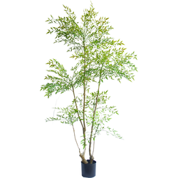 Greenmoods - Ruscus Groen | 180 cm