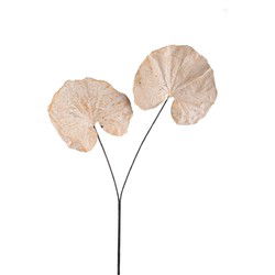 PTMD Kunsttak Monstera - 62x57x90 cm - Polyester - Creme