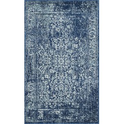 Safavieh Transitional Indoor Woven Area Rug, Evoke Collection, EVK256, in Navy & Ivory, 91 X 152 cm