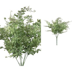 PTMD Leaves Plant Siarasperge Bos Kunsttak - 34 x 38 x 45 cm - Groen