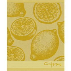 DDDDD Keukendoek Citrus 50x55cm - yellow - set van 6