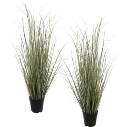 Louis Maes Quality kunstplant - 2x - Siergras helmgras - donkergroen - H75 cm - in pot - Kunstplanten