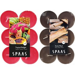 Candles by Spaas geurkaarsen - 24x stuks in 2 geuren Tropical Delight en Exotic wood - geurkaarsen