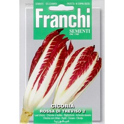  - Franchi