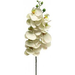 Phalaenopsis Orchidee Bora 77 cm wit kunstbloem