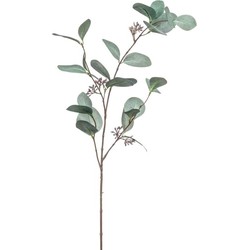 Emerald Kunstbloem Eucalyptus tak - 73 cm - groen - Kunstbloemen