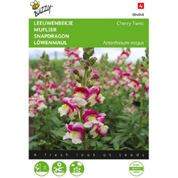 Zaden antirrhinum leeuwenbekje cherry twist 0.05 gram - Buzzy