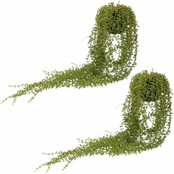 Bellatio Senecio/erwtenplant kunstplant - 2x - 70 cm - in hang pot - Kunstplanten
