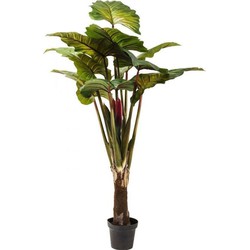 Kare Deco Plant Rainforest Green 160 cm