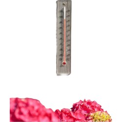 Muurthermometer plexiglas 21x4x0,8cm