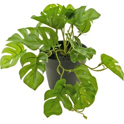 Greenmoods Kunstplant Monstera - Nep plant - 1 Stuk - 25cm  -