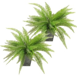 2x Kunstplanten Groen Varen 33 cm in pot - Kunstplanten