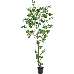 Hoyz Greenery - Kunstplant Ficus 210 cm