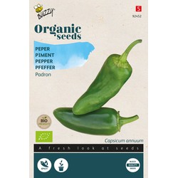 Organic Peper Padron (BIO) - Buzzy