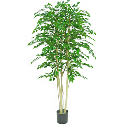 Hoyz Greenery - Kunstplant Ruwe Berk 210 cm