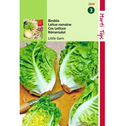 2 stuks - Samen Römischer Mini-Salat Little Gem (Kopfsalat) - Hortitops