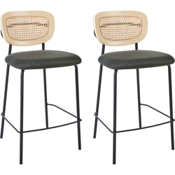 MAYETTA - Barkruk set van 2 - Donkergroen - Polyester