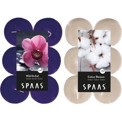 Candles by Spaas geurkaarsen - 24x stuks in 2 geuren Blossom Flowers en Wild Orchid - geurkaarsen