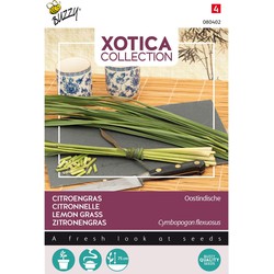 Xotica Citroengras