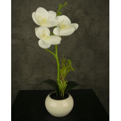 Greenmoods Kunst Orchidee - Phalaenopsis - Nep plant - 1 Stuk - 28cm - Wit