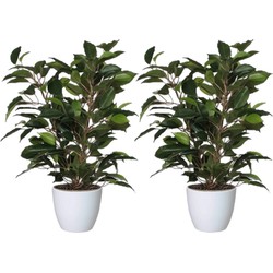 2x stuks groene ficus kunstplant 40 cm met plantenpot glanzend wit D13.5 en H12.5 cm - Kunstplanten