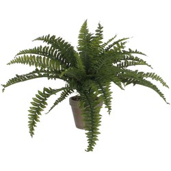 Mica Decorations Varen Kunstplant - H45xØ70 cm - Terra pot - Groen