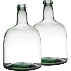 Set van 2x stuks flessenhals bloemenvazen van glas 30 x 19 cm - Vazen