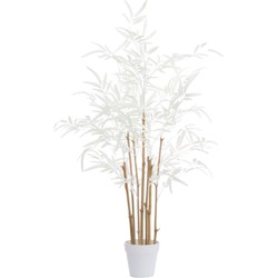 Light & Living - Kunstplant BAMBOO - 70x60x90cm - Bruin