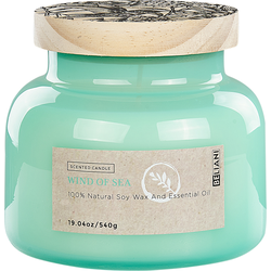 Beliani DELIGHT BLISS - Geurkaars-Blauw-Soja wax