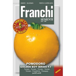 Tomaat Tomate Golden Boy HY F1 106/63 zaden - Franchi