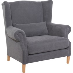 Grote fauteuil