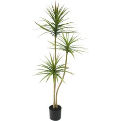 Kunstplant Dracaena Fragnans Elite 150 cm | NeverLeafs