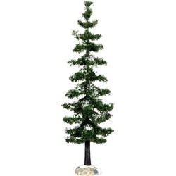 Blue spruce tree, large